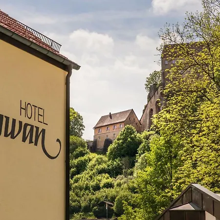 Hotel Schwan 3*