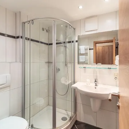 Schwan 3* ポッテンシュタイン