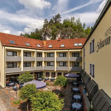 Schwan 3*